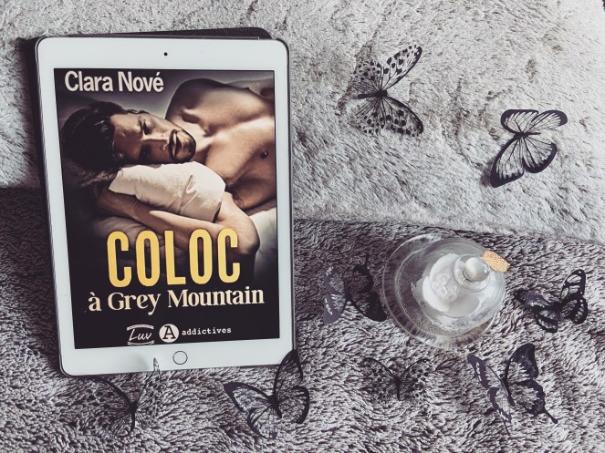 Coloc à grey mountain chronique